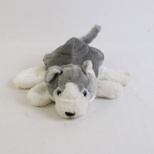 Dream gray and white husky - dream,